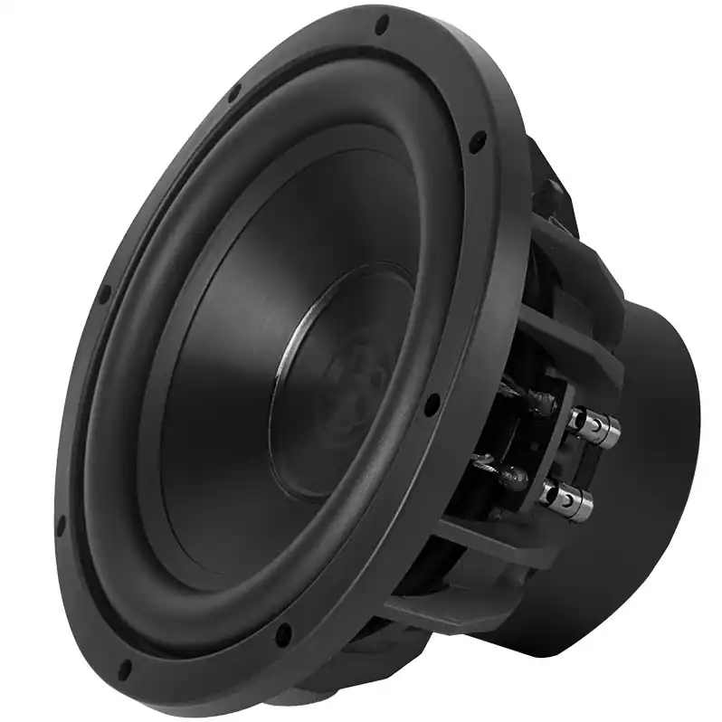 Subwoofer DLS RSW10.D2 - Jen po omezenou dobu